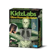 Kidz Labs / Human Skeleton