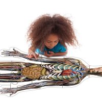 Puzzle Cuerpo Humano 24pzs (1137)