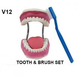 DENTADURA CON CEPILLO Y LENGUA V12