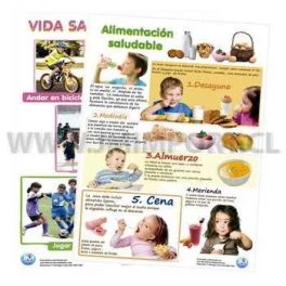 LAMINA 50 X 70 C M ALIMENTACION SALUD.Y VIDA SANA