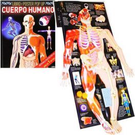 LIBRO POSTER POP UP CUERPO H. LD0543