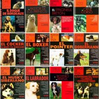 PERROS DE RAZA (1-48)