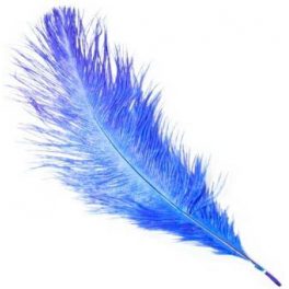 PLUMA FINA 20 CMS AZUL