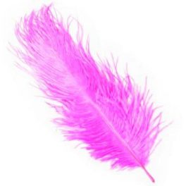 PLUMA FINA 20 CMS FUCSIA