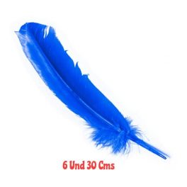 SET X6 PLUMAS 30 CMS AZUL