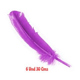 SET X6 PLUMAS 30 CMS MORADO