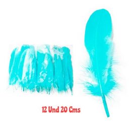 SET 12 PLUMAS 20 CMS CALIPSO