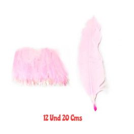 SET 12 PLUMAS 20 CMS ROSADO EST