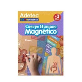 CUERPO HUMANO- LAMINAS MAGNETICAS INTERACTIVAS ADETEC