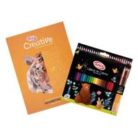 SET LIBRO MOSAICO LAPICES DE COLORES CREATIVE