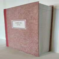 LIBRO ACTAS LINEAL 800 HOJAS