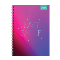 ESPECIAL 150 HJ. GRADIENT ARTEL 24