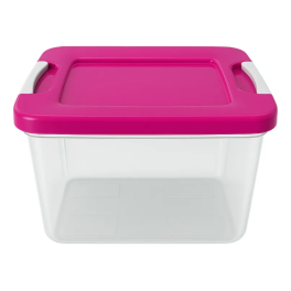 Caja De Plastico Organizadora 14 Litrs Con Broche Vitalplast