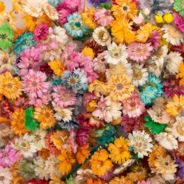 FLORES SECAS PARA MANUALIDADES 1 KILO