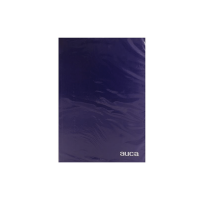 Carpeta Plastificada Auca Azul