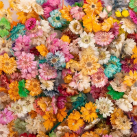 Flores secas para manualidades o decoración 1 Kilo