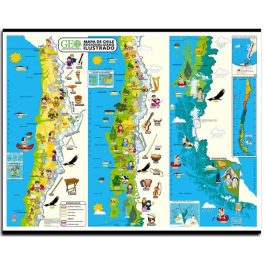 MAPA REGIONALIZADO ILUSTRADO PUEBLOS ORIGINARIOS MEDIDAS 130X120 MAPA REGIONALIZADO ILUSTRADO PUEBLOS ORIGINARIOS MEDIDAS 130X120